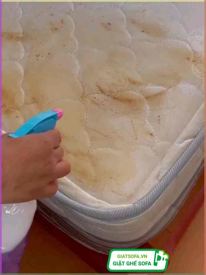 GiatSofa đơn vị giặt đệm tại nhà Hà Nội