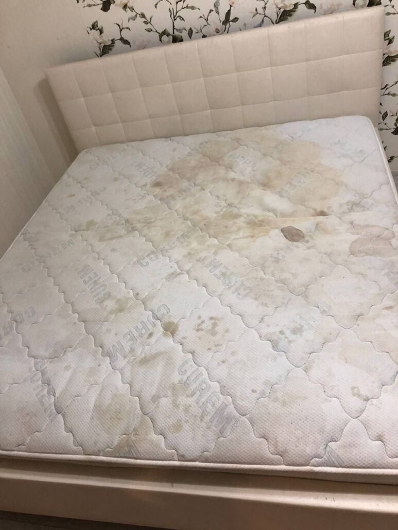 GiatSofa đơn vị chuyên giặt đệm tại nhà