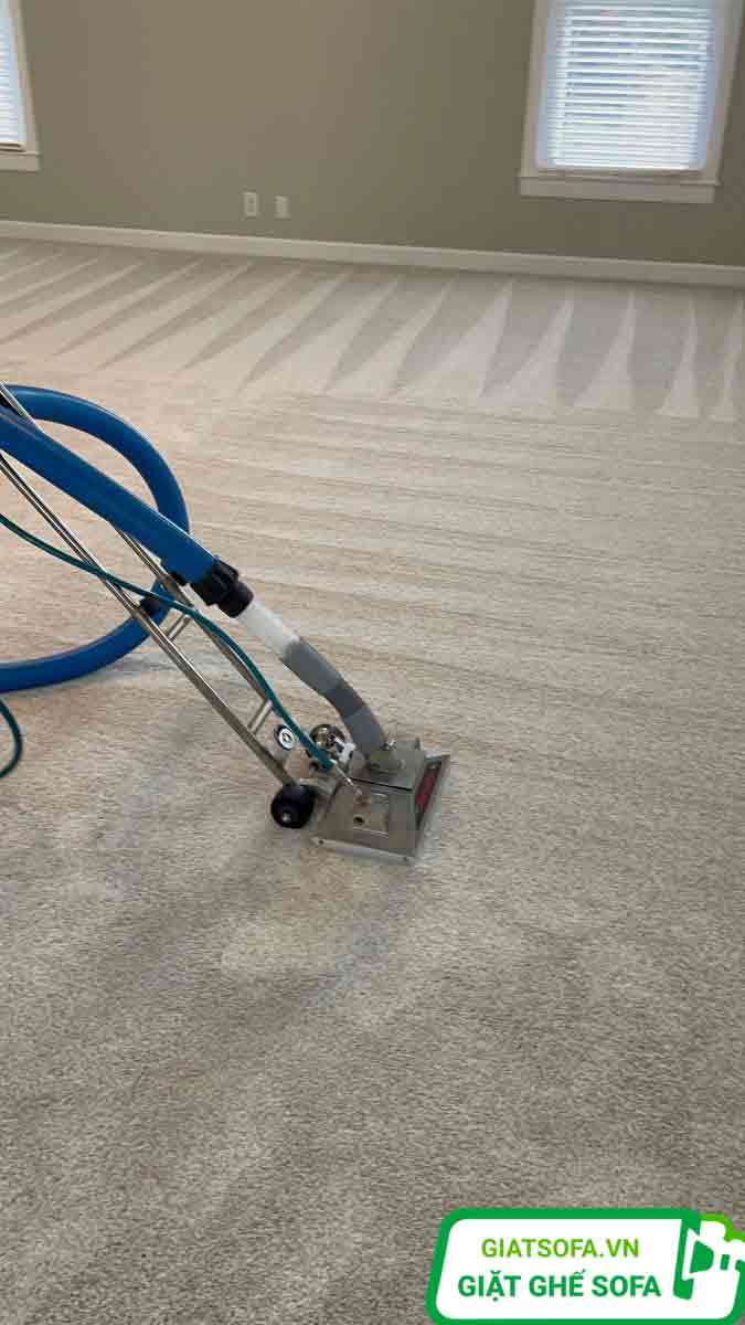 Dịch vụ làm sạch thảm tại nhà