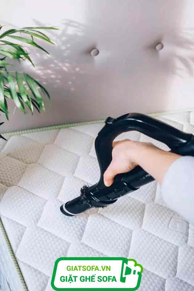 Vệ sinh đệm định kỳ giúp bảo vệ sức khỏe