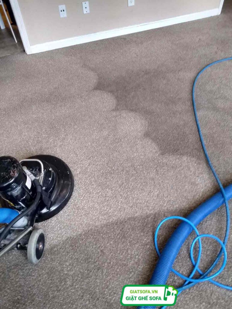 Trung Hiếu Clean cung cấp thợ giặt thảm tại Thạch Thất