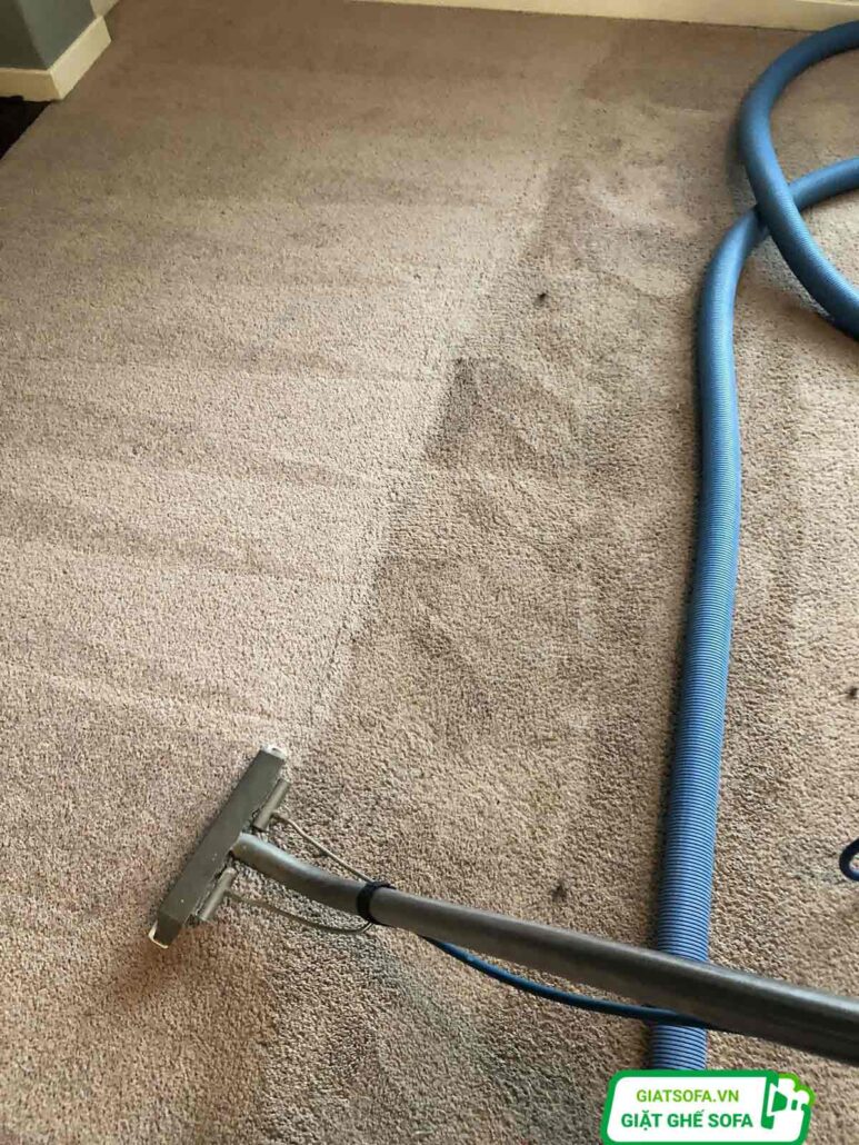 Giặt Thảm Chương Mỹ có cung cấp vào ban đệm không