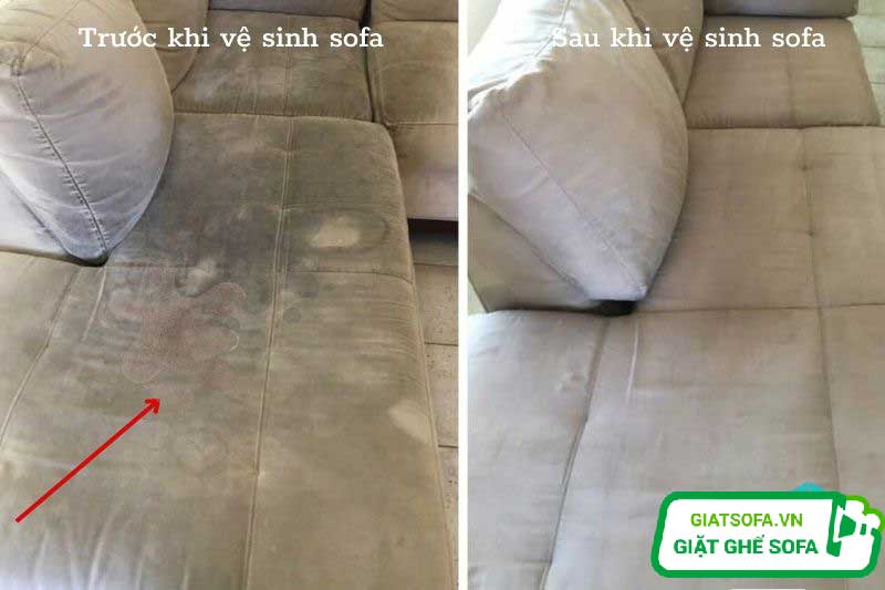 Cách tẩy mốc trên ghế sofa mà ai cũng làm được