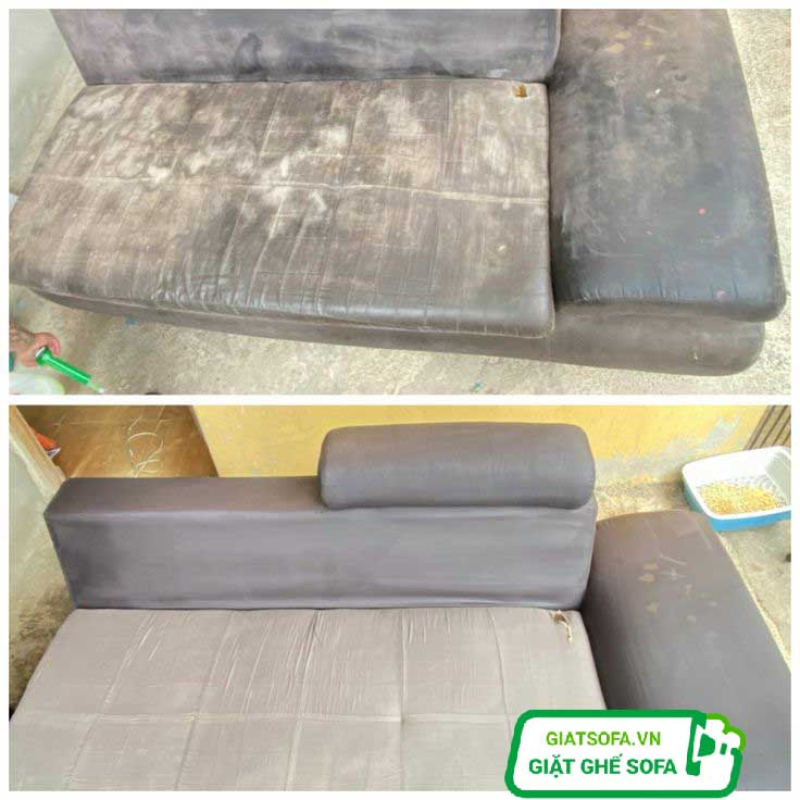 Lý do khiến ghế sofa bị mốc