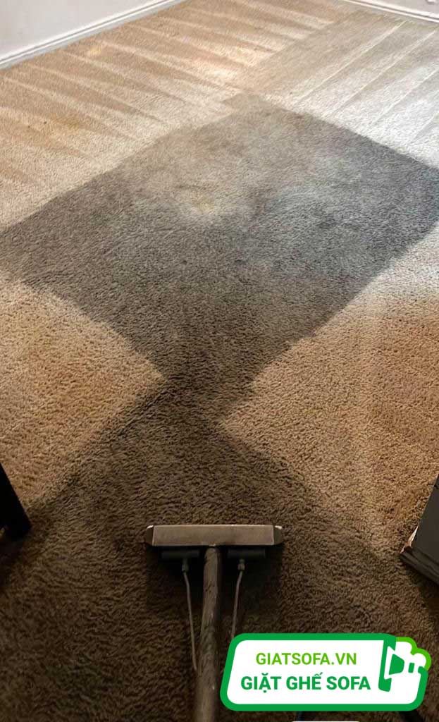 Dịch vụ giặt thảm văn phòng Hà Nội tại GiatSofa