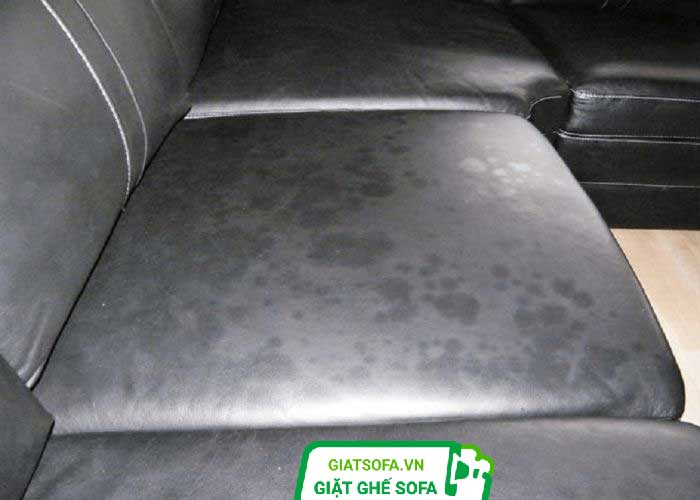 Cách làm sạch ghế da bị mốc hiệu quả nhất