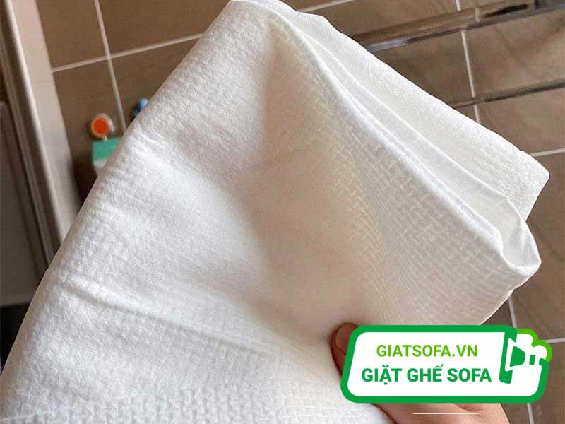 Dùng khăn ẩm để lau lông mèo