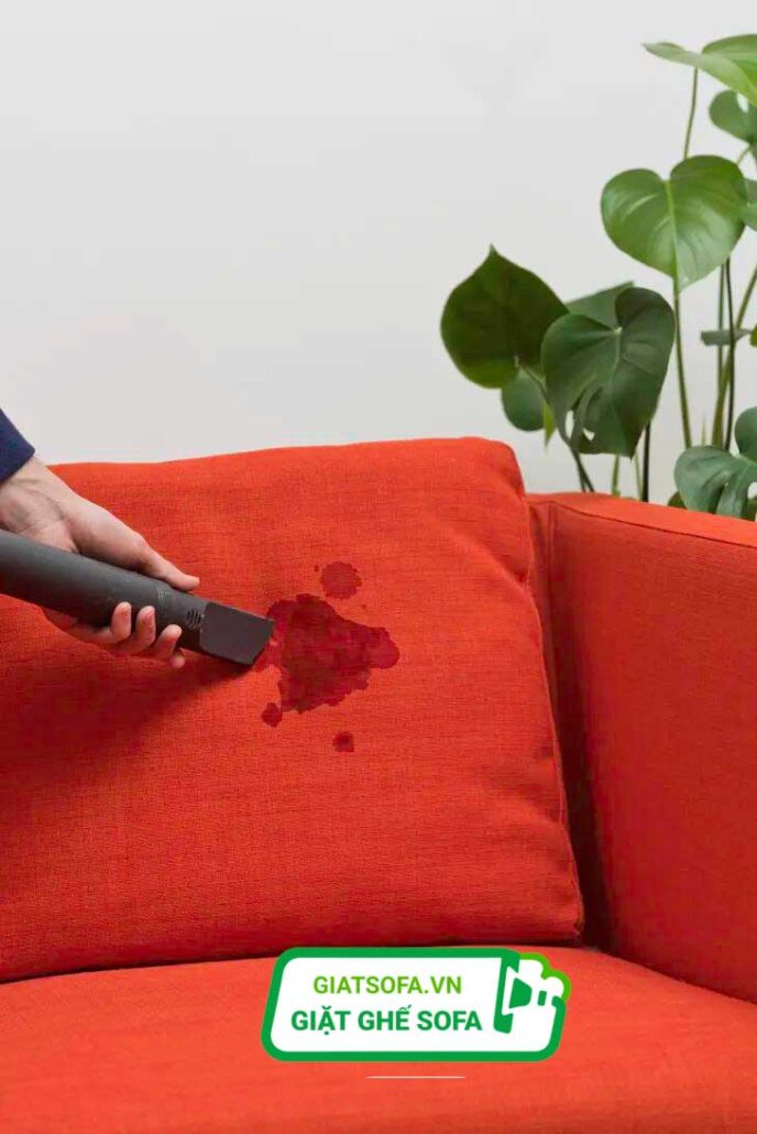 Ghế Sofa Bị Dính Máu ? Cách Làm Sạch Vết Máu Trên Ghế Sofa