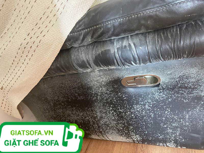 Nguyên nhân ghế sofa da bị mốc