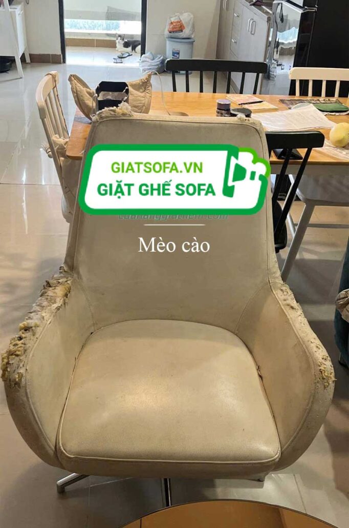 Cách khắc phục sofa bị mèo cào với sofa vải/nỉ