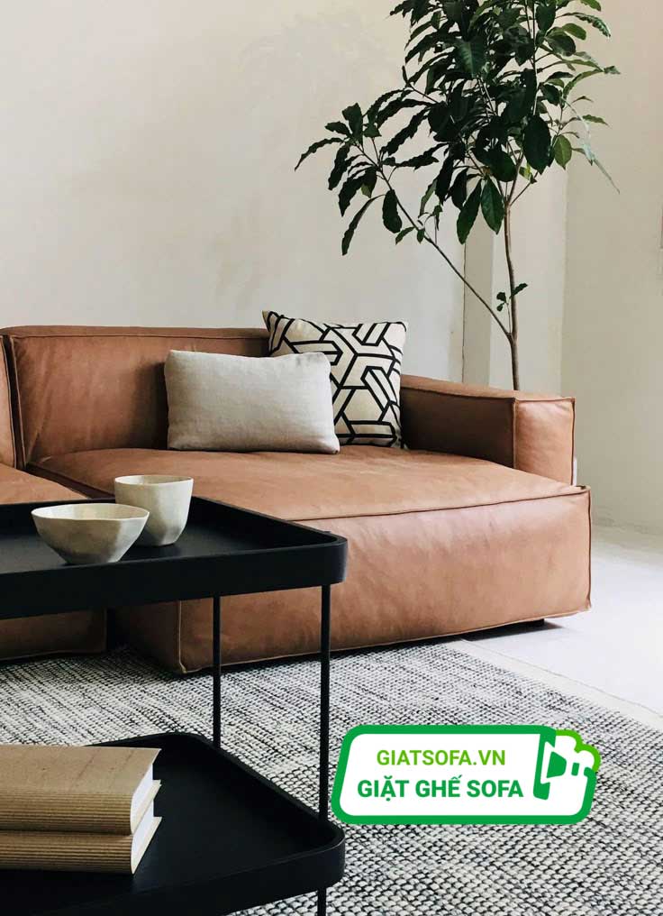 Tại sao nên vệ sinh sofa da thật định kỳ