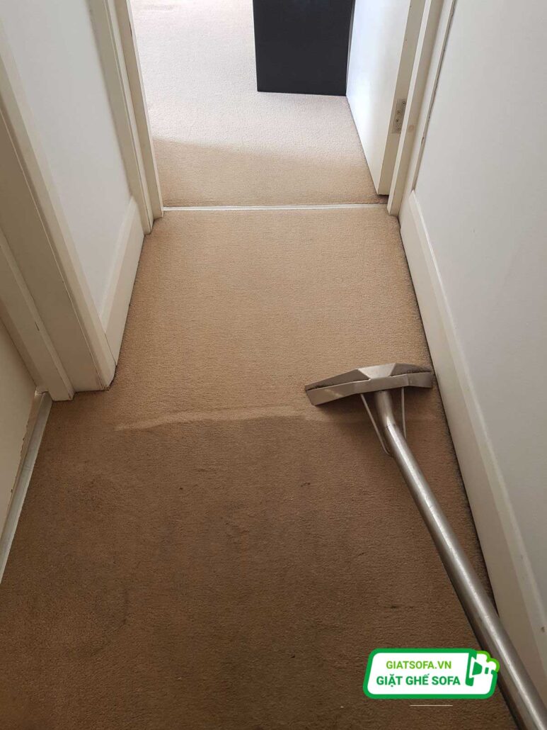 Quy trình vệ sinh thảm văn phòng Hà Nội tại GiatSofa